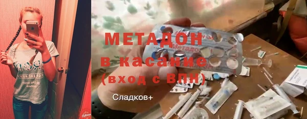 индика Алексин