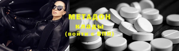 индика Алексин