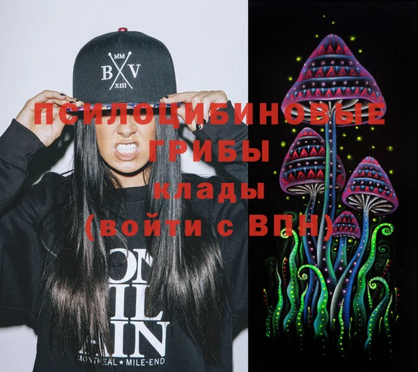 индика Алексин
