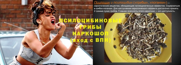 индика Алексин