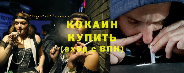 индика Алексин