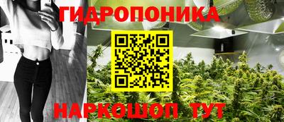 мяу мяу мука Азнакаево