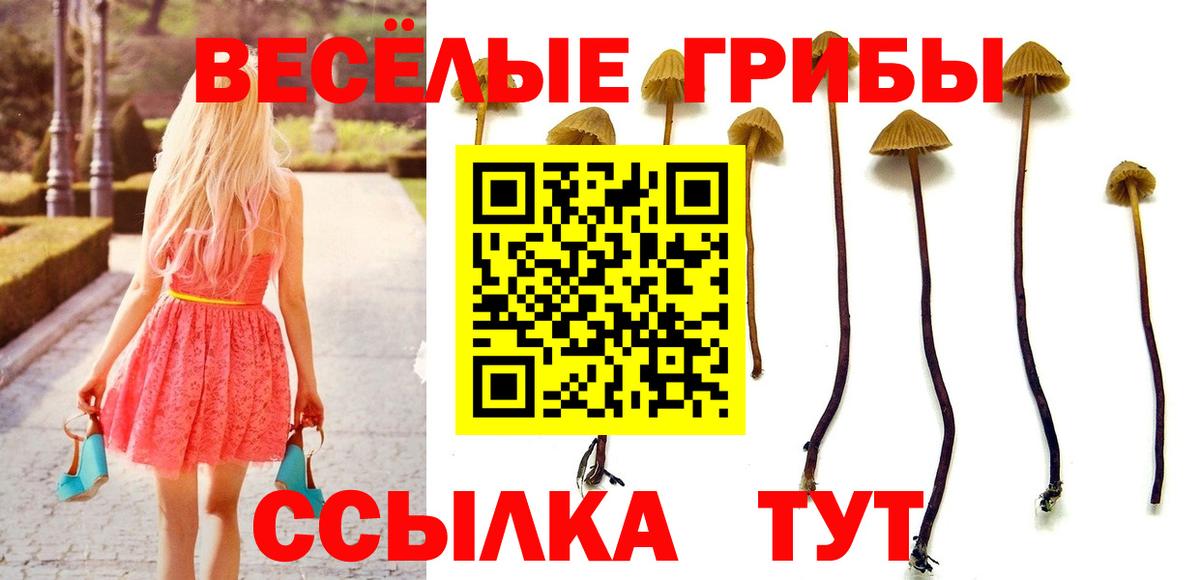 Галлюциногенные грибы ЛСД  Псилоцибиновые грибы GOLDEN TEACHER  Вход с VPN  Алексеевка 