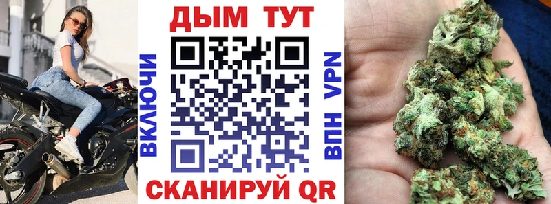 Бошки Шишки семена Алексеевка